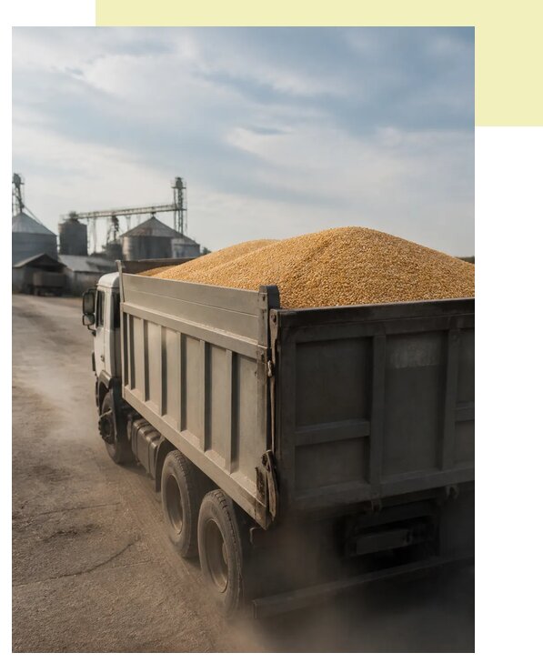 Перевозка сельхозпродукции навалом в Рославль по цене от 3083 р. | Агросервис-Рлв